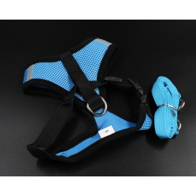 blue-reflective-harness-and-leash-2_18411832