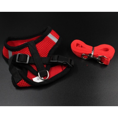 red-reflective-harness-and-leash-2_1013197474